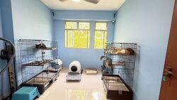 Blk 469B Meadow Spring @ Yishun (Yishun), HDB 4 Rooms #503846671